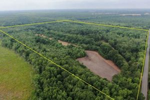 NC Farm Land for Sale: Find Your Dream Farm Now! | The Conscious Farmer | Sustainable Agriculture for a Healthier Planet