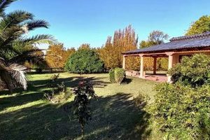 Buy Argentina Farm Land for Sale | Invest Now! | The Conscious Farmer | Sustainable Agriculture for a Healthier Planet
