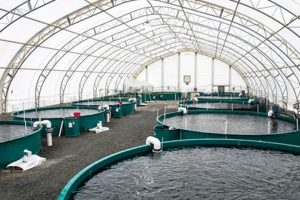 Find Your Fish Farm for Sale: Aquaculture Farms | The Conscious Farmer | Sustainable Agriculture for a Healthier Planet