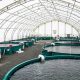 Find Your Fish Farm for Sale: Aquaculture Farms | The Conscious Farmer | Sustainable Agriculture for a Healthier Planet