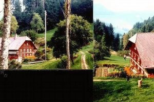 Find Farms for Sale in Switzerland: Rural Properties | The Conscious Farmer | Sustainable Agriculture for a Healthier Planet