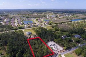 Find Your Orlando Farms for Sale: Land & More! | The Conscious Farmer | Sustainable Agriculture for a Healthier Planet