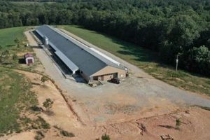 Find Tennessee Poultry Farms for Sale: Your Guide &amp; More | The Conscious Farmer | Sustainable Agriculture for a Healthier Planet