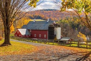 Vermont Farms for Sale: Find Your Dream Farm VT Now! | The Conscious Farmer | Sustainable Agriculture for a Healthier Planet
