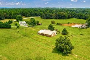Georgia Farm Land for Sale: Your Rural Dream Awaits! | The Conscious Farmer | Sustainable Agriculture for a Healthier Planet