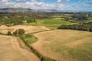 Irish Farming Land for Sale: Farms & Opportunities | The Conscious Farmer | Sustainable Agriculture for a Healthier Planet