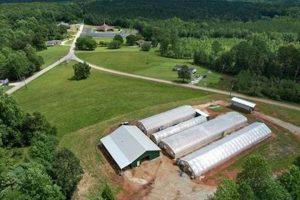 Find Your Greenhouse Farm for Sale: Grow Your Dream! | The Conscious Farmer | Sustainable Agriculture for a Healthier Planet