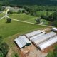 Find Your Greenhouse Farm for Sale: Grow Your Dream! | The Conscious Farmer | Sustainable Agriculture for a Healthier Planet