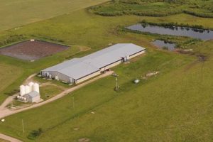 Buy Hog Farm for Sale: Profitable Farms Await! | The Conscious Farmer | Sustainable Agriculture for a Healthier Planet