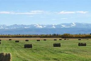 Discover Alaska Farms for Sale: Land & Opportunity! | The Conscious Farmer | Sustainable Agriculture for a Healthier Planet