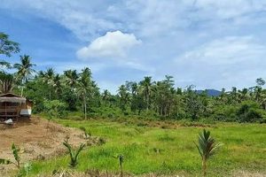 Invest in Philippines Farm Land for Sale: Your Agri Dream! | The Conscious Farmer | Sustainable Agriculture for a Healthier Planet