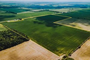Your Dream Awaits: Farm Land for Sale in Brazil - Deals! | The Conscious Farmer | Sustainable Agriculture for a Healthier Planet