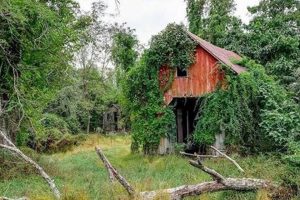 Discover Maryland: Abandoned Farms for Sale - Revive Land! The Conscious Farmer | Sustainable Agriculture for a Healthier Planet Discover Maryland: Abandoned Farms for Sale - Revive Land! | The Conscious Farmer | Sustainable Agriculture for a Healthier Planet