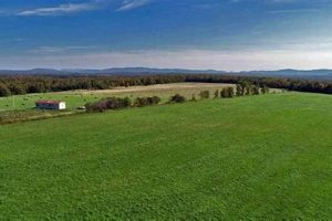 Maine Farm Land for Sale: Your Dream Awaits! | The Conscious Farmer | Sustainable Agriculture for a Healthier Planet