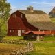 Montana Farm for Sale: Your Dream Ranch Awaits! | The Conscious Farmer | Sustainable Agriculture for a Healthier Planet