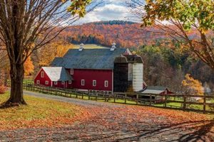 Buy New England Farm Land For Sale - Farms &amp; More! | The Conscious Farmer | Sustainable Agriculture for a Healthier Planet