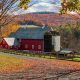 Buy New England Farm Land For Sale - Farms &amp; More! | The Conscious Farmer | Sustainable Agriculture for a Healthier Planet