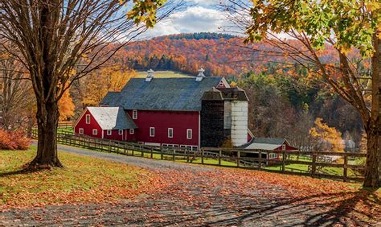 Buy New England Farm Land For Sale - Farms &amp; More! | The Conscious Farmer | Sustainable Agriculture for a Healthier Planet