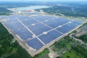 Buy Solar Farms For Sale: Investment Opportunities | The Conscious Farmer | Sustainable Agriculture for a Healthier Planet