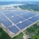 Buy Solar Farms For Sale: Investment Opportunities | The Conscious Farmer | Sustainable Agriculture for a Healthier Planet