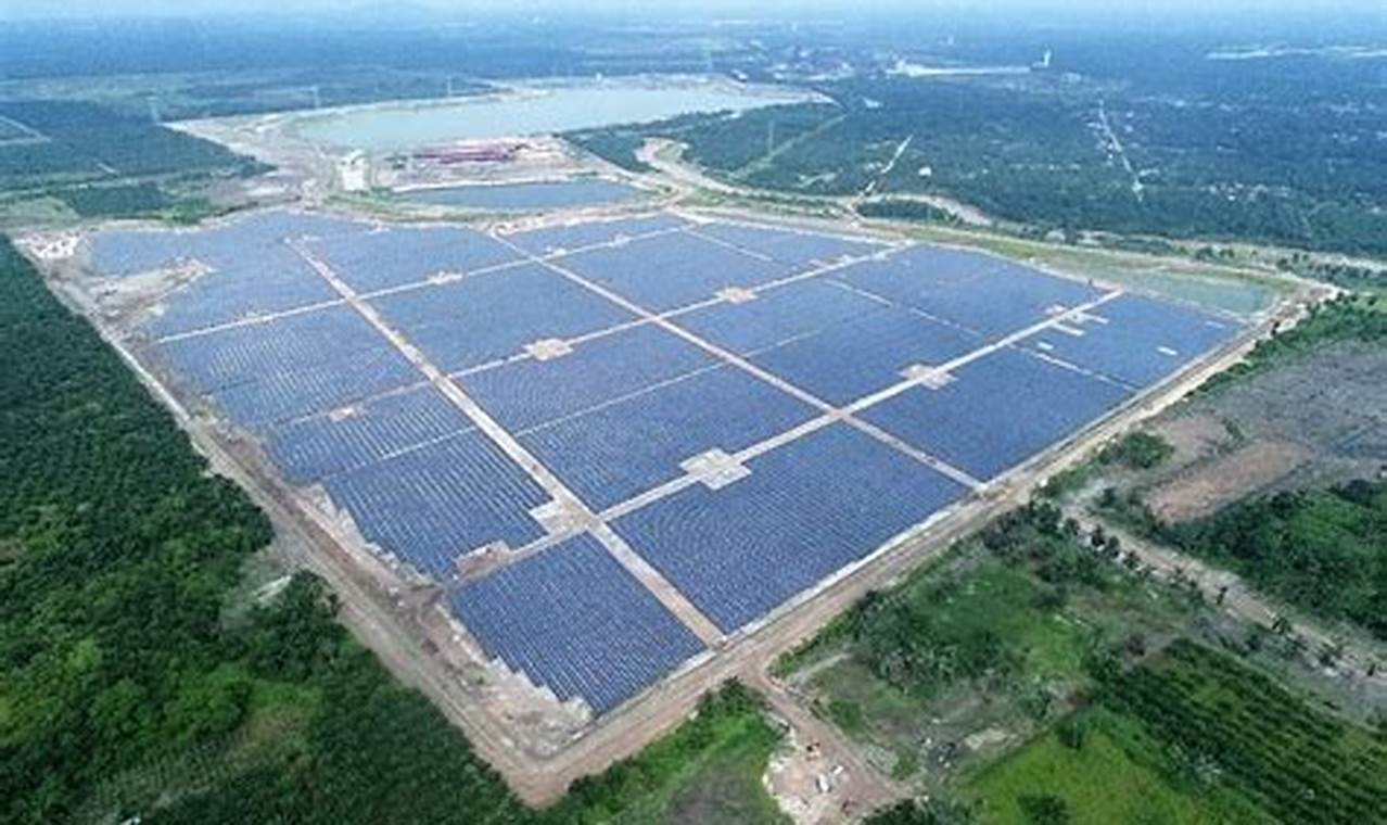 Buy Solar Farms For Sale: Investment Opportunities | The Conscious Farmer | Sustainable Agriculture for a Healthier Planet
