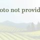 Louisiana Farmland: Your Dream Farm Land for Sale | The Conscious Farmer | Sustainable Agriculture for a Healthier Planet