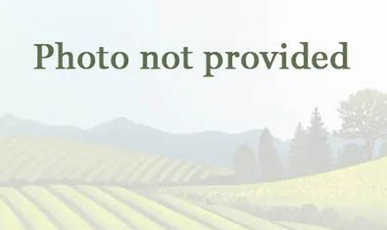 Louisiana Farmland: Your Dream Farm Land for Sale The Conscious Farmer | Sustainable Agriculture for a Healthier Planet Louisiana Farmland: Your Dream Farm Land for Sale | The Conscious Farmer | Sustainable Agriculture for a Healthier Planet