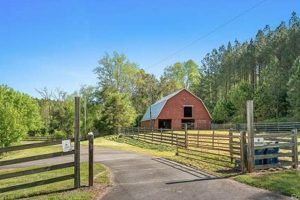 NC Farms: Prime Farm Land for Sale NC Awaits! | The Conscious Farmer | Sustainable Agriculture for a Healthier Planet