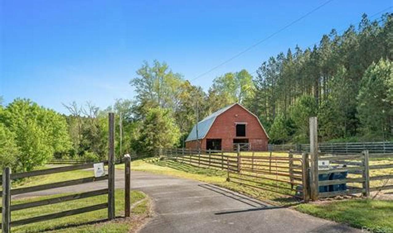 NC Farms: Prime Farm Land for Sale NC Awaits! | The Conscious Farmer | Sustainable Agriculture for a Healthier Planet