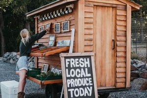 Buy a Thriving Roadside Farm Stand For Sale Near You! The Conscious Farmer | Sustainable Agriculture for a Healthier Planet Buy a Thriving Roadside Farm Stand For Sale Near You! | The Conscious Farmer | Sustainable Agriculture for a Healthier Planet