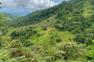 Find Your Costa Rica Farm for Sale: Tropical Paradise Awaits | The Conscious Farmer | Sustainable Agriculture for a Healthier Planet