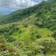Find Your Costa Rica Farm for Sale: Tropical Paradise Awaits | The Conscious Farmer | Sustainable Agriculture for a Healthier Planet