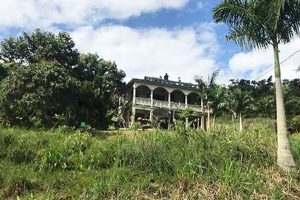 Find Your Dream: Abandoned Farms for Sale in Puerto Rico Today | The Conscious Farmer | Sustainable Agriculture for a Healthier Planet