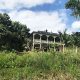 Find Your Dream: Abandoned Farms for Sale in Puerto Rico Today | The Conscious Farmer | Sustainable Agriculture for a Healthier Planet