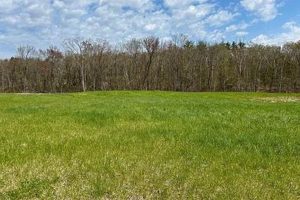 RI Farm Land for Sale: Find Your Dream Farm Today! | The Conscious Farmer | Sustainable Agriculture for a Healthier Planet