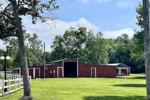 South Florida Farm Land for Sale: Prime Agricultural Lots | The Conscious Farmer | Sustainable Agriculture for a Healthier Planet