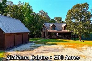 Discover Alabama Farms for Sale: Land & More! | The Conscious Farmer | Sustainable Agriculture for a Healthier Planet