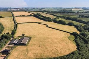 Discover Thistledown Farm for Sale: Your Rural Dream Awaits! | The Conscious Farmer | Sustainable Agriculture for a Healthier Planet