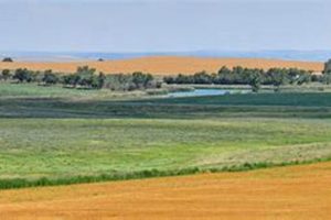 Discover SD Farm Land for Sale: Your Acreage Awaits! | The Conscious Farmer | Sustainable Agriculture for a Healthier Planet