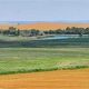 Discover SD Farm Land for Sale: Your Acreage Awaits! | The Conscious Farmer | Sustainable Agriculture for a Healthier Planet