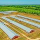 NC Poultry Farms for Sale: Your Farm Dream Awaits! | The Conscious Farmer | Sustainable Agriculture for a Healthier Planet