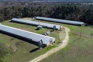 Find Your Texas Poultry Farm for Sale Today! | The Conscious Farmer | Sustainable Agriculture for a Healthier Planet