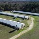 Find Your Texas Poultry Farm for Sale Today! | The Conscious Farmer | Sustainable Agriculture for a Healthier Planet