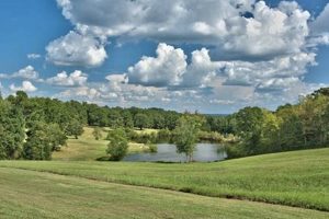 Discover GA Farms for Sale: Land &amp; Acreage Deals! | The Conscious Farmer | Sustainable Agriculture for a Healthier Planet