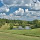 Discover GA Farms for Sale: Land &amp; Acreage Deals! | The Conscious Farmer | Sustainable Agriculture for a Healthier Planet