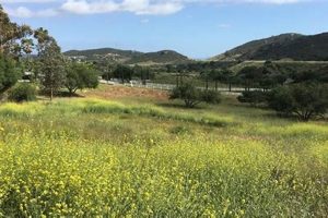 San Diego Farms: Find Your Farm Land for Sale Today! | The Conscious Farmer | Sustainable Agriculture for a Healthier Planet