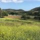 San Diego Farms: Find Your Farm Land for Sale Today! | The Conscious Farmer | Sustainable Agriculture for a Healthier Planet