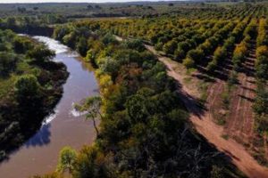 Find Your Dream: Big Valley Pecan Farm Sale - Act Now! The Conscious Farmer | Sustainable Agriculture for a Healthier Planet Find Your Dream: Big Valley Pecan Farm Sale - Act Now! | The Conscious Farmer | Sustainable Agriculture for a Healthier Planet