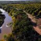 Find Your Dream: Big Valley Pecan Farm Sale - Act Now! | The Conscious Farmer | Sustainable Agriculture for a Healthier Planet