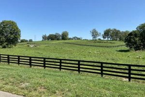 Find Jessamine County KY Farms for Sale: Deals & Acreage! The Conscious Farmer | Sustainable Agriculture for a Healthier Planet Find Jessamine County KY Farms for Sale: Deals & Acreage! | The Conscious Farmer | Sustainable Agriculture for a Healthier Planet